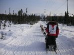 Iditarod Ceremonial Start 009.jpg